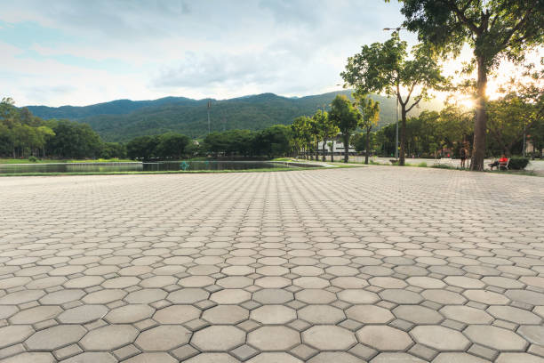 Best Driveway Pavers Near Me  in Warren Park, IN