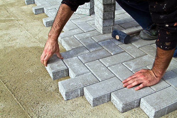 Best Driveway Paving Near Me  in Warren Park, IN