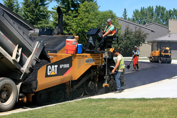 Best Driveway Paving Contractor  in Warren Park, IN